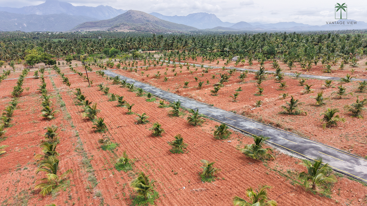 luxury farmland for sale